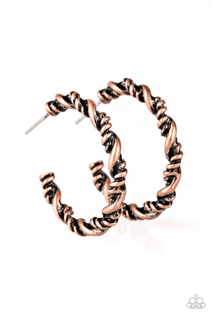 Paparazzi Earring ~ Plainly Panama - Copper Hoops