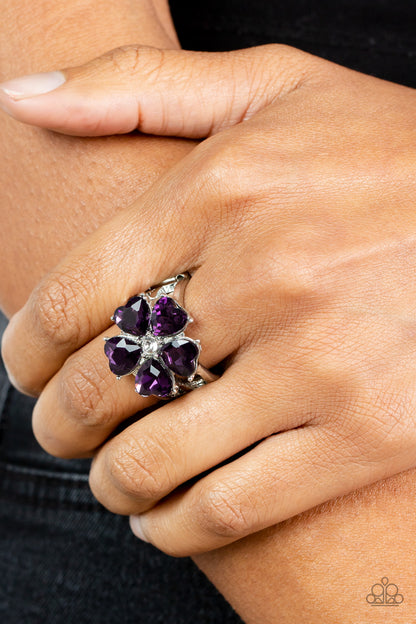 Paparazzi Minnesota Magic Purple Heart Ring. #P4RE-PRXX-165XX. Get Free Shipping. Dainty